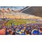 Plough Lane Stadium Fine Art Mouse Mat - AFC Wimbledon
